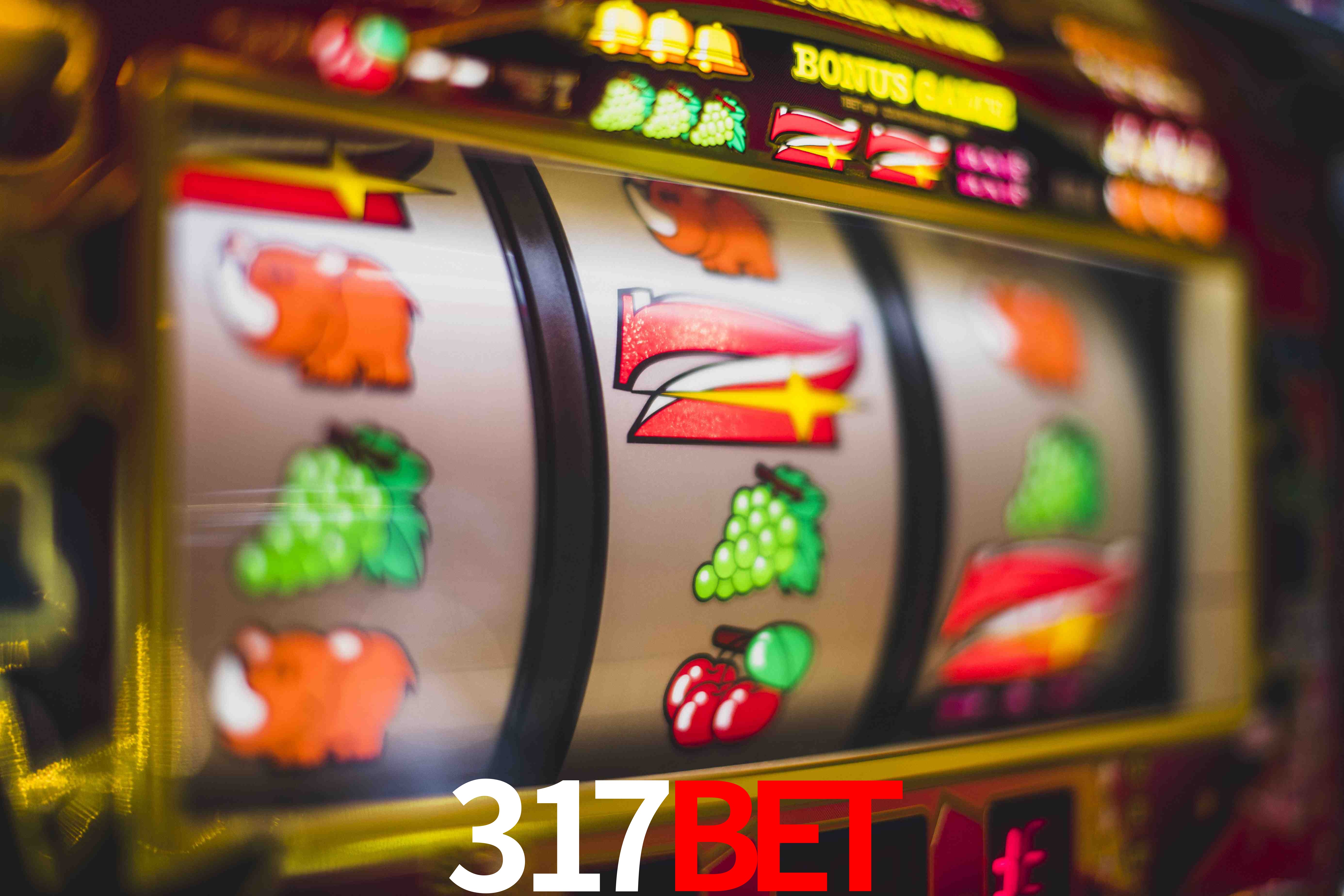 Statistics 317bet